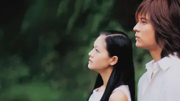 Backdrop к сериалу "Meteor Garden" #1372345