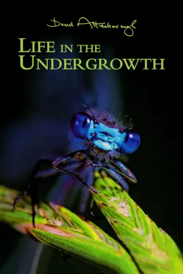 Poster for the TV series "Life in the Undergrowth" #1831505