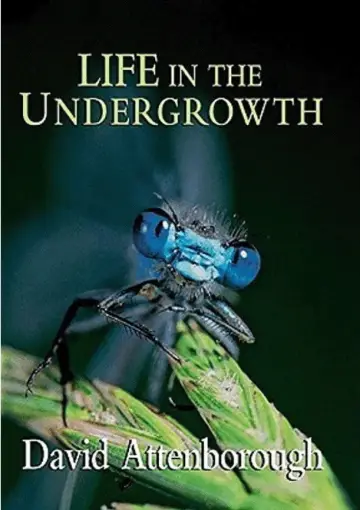 Poster for the TV series "Life in the Undergrowth" #1831513