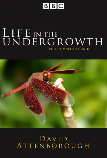 Poster for the TV series "Life in the Undergrowth" #1831514