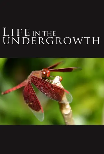 Poster for the TV series "Life in the Undergrowth" #1831515