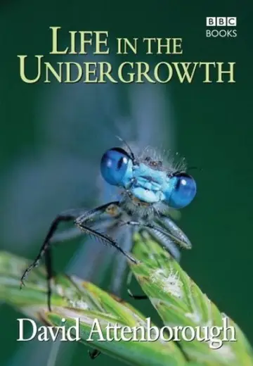 Poster for the TV series "Life in the Undergrowth" #1831573