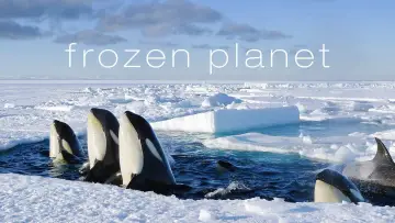 Backdrop к сериалу "Frozen Planet" #1455634