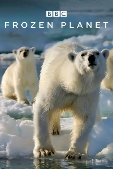 Poster к сериалу "Frozen Planet" #1455641
