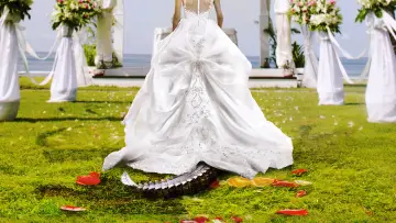 Backdrop for the TV series "Bridezillas" #1413439