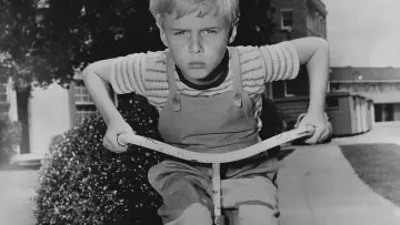 Backdrop к сериалу "Dennis the Menace" #1371204