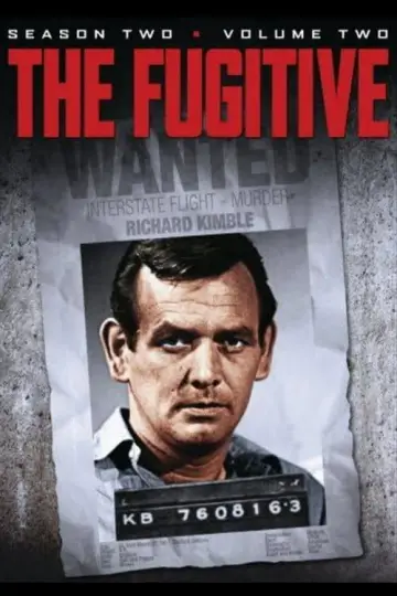 Poster for the TV series "The Fugitive" #1675095