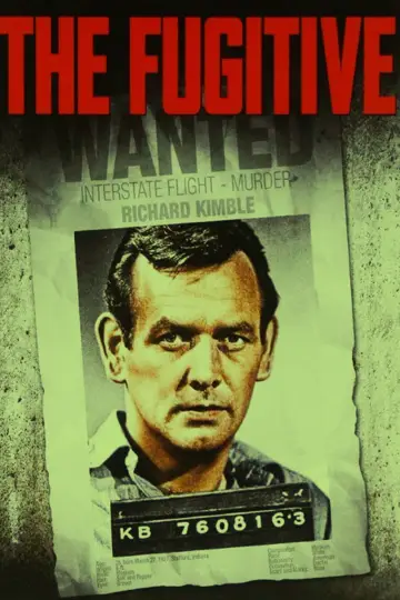Poster for the TV series "The Fugitive" #1675096