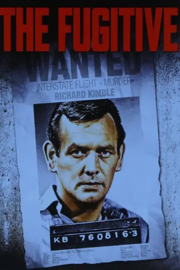 Poster for the TV series "The Fugitive" #1675099