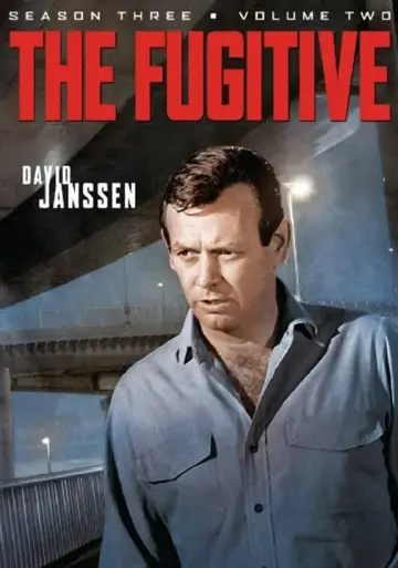 Poster for the TV series "The Fugitive" #1675100