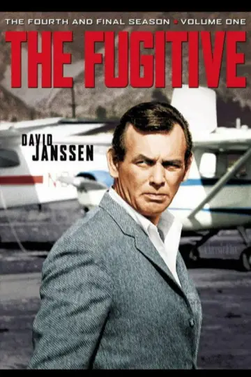 Poster for the TV series "The Fugitive" #1675102