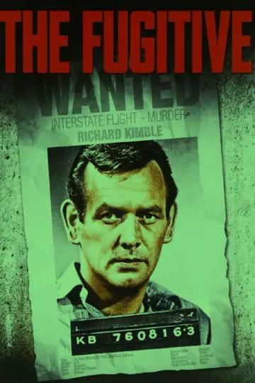 Poster for the TV series "The Fugitive" #1675103