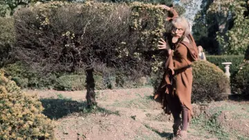 Backdrop for the TV series "Catweazle" #1908645