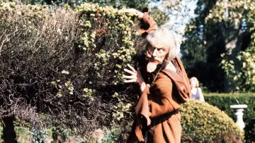 Backdrop for the TV series "Catweazle" #1908647