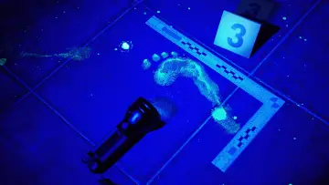 Backdrop к сериалу "Forensic Files" #1338729