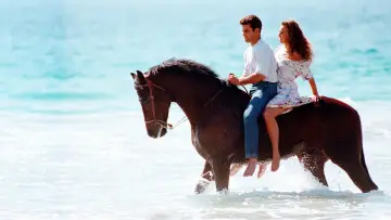 Backdrop к сериалу "Marimar" #1389640