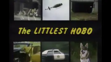 Backdrop for the TV series "The Littlest Hobo" #1591092