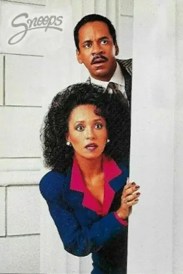 Poster for the TV series "Snoops" #1742857