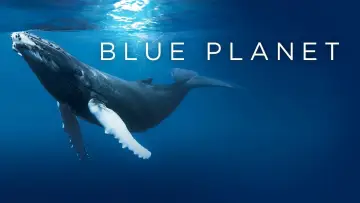 Backdrop к сериалу "The Blue Planet" #1455589