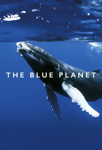 Poster к сериалу "The Blue Planet" #1455599