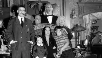 Backdrop for the TV series "The Addams Family" #1364662