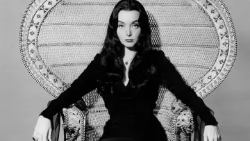 Backdrop for the TV series "The Addams Family" #1364665