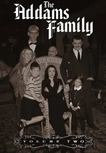 Poster for the TV series "The Addams Family" #1701788
