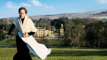Backdrop for the TV series "A Woman of Substance" #1599349