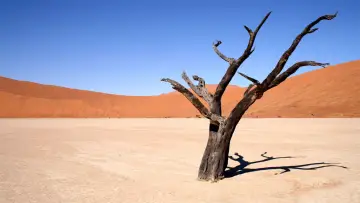 Backdrop к сериалу "Nature" #1293921