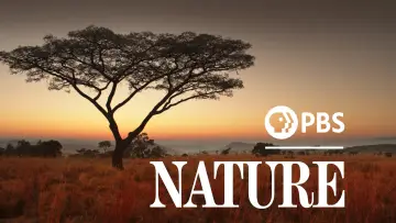 Backdrop к сериалу "Nature" #1293922