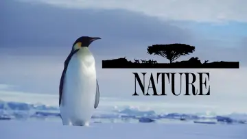 Backdrop к сериалу "Nature" #1293930