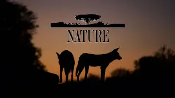 Backdrop к сериалу "Nature" #1293950