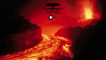 Backdrop к сериалу "Nature" #1293959