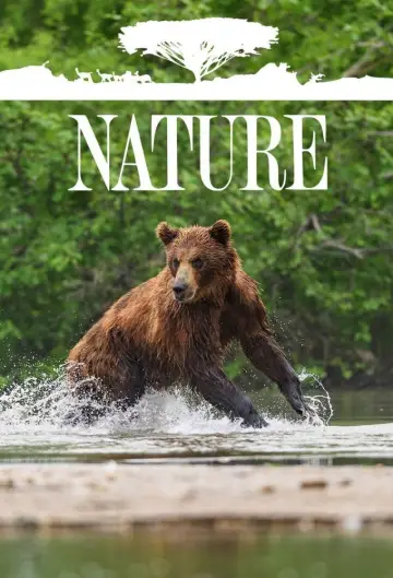 Poster к сериалу "Nature" #1293979