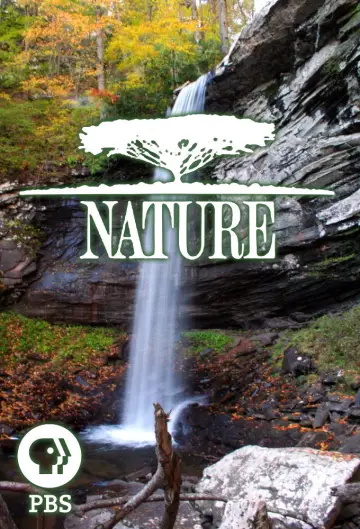 Poster к сериалу "Nature" #1293985