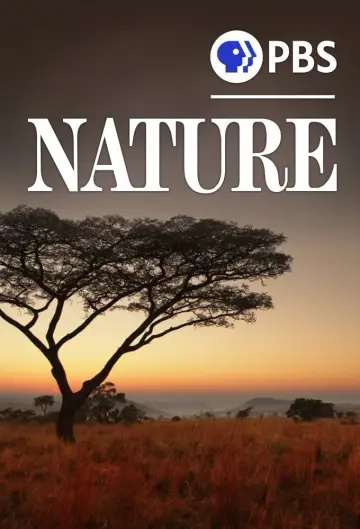 Poster к сериалу "Nature" #1293988