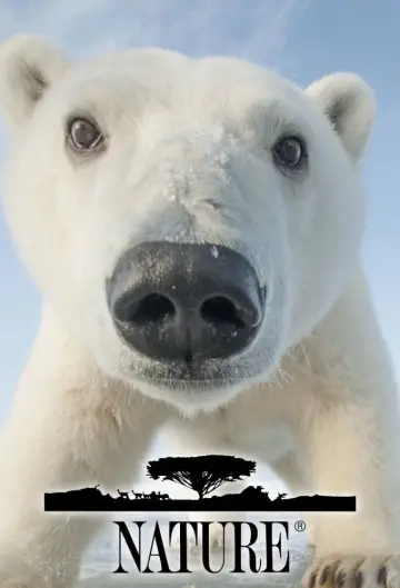 Poster к сериалу "Nature" #1293994