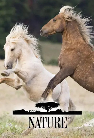 Poster к сериалу "Nature" #1293999