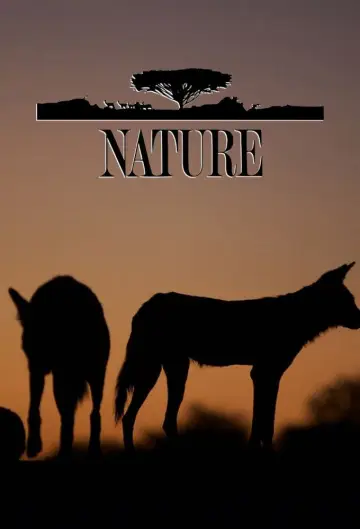 Poster к сериалу "Nature" #1294004