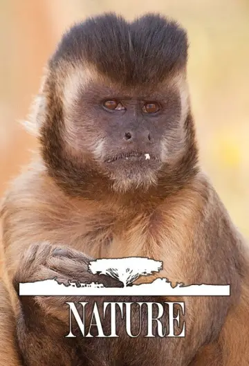 Poster к сериалу "Nature" #1294006