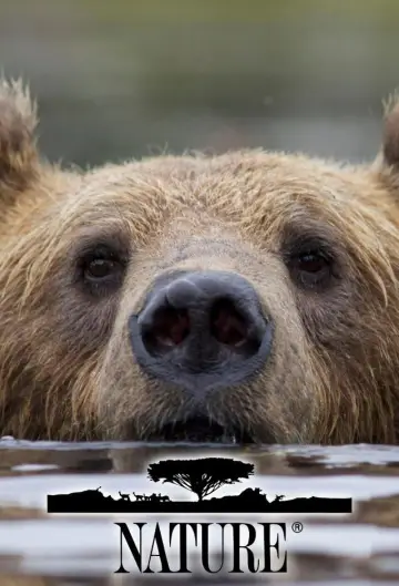 Poster к сериалу "Nature" #1294007