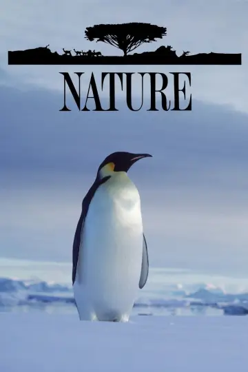 Poster к сериалу "Nature" #1294009