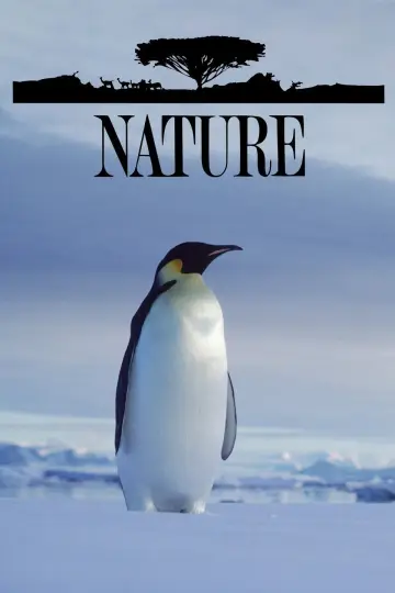 Poster к сериалу "Nature" #1294012