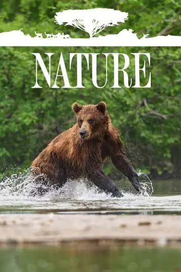 Poster к сериалу "Nature" #1294015