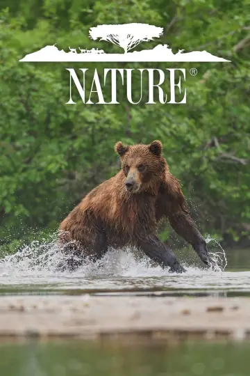 Poster к сериалу "Nature" #1294017