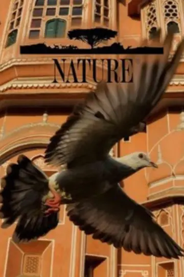 Poster к сериалу "Nature" #1294022