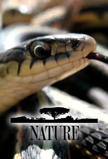 Poster к сериалу "Nature" #1294028