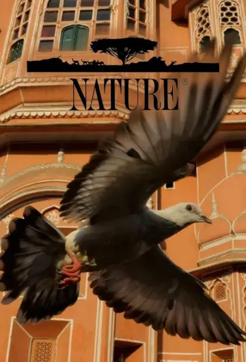 Poster к сериалу "Nature" #1294029