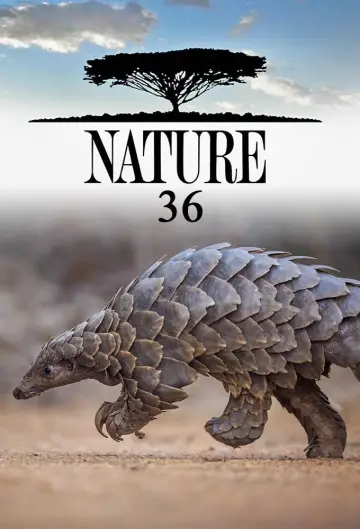 Season 36