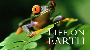 Backdrop for the TV series "Life on Earth" #1830290